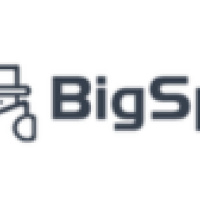 bigspy